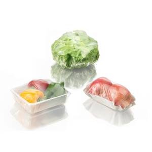 새로운 식품 포장 용기 개발