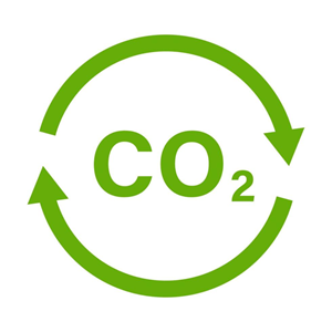 CO2 자원화 촉매 개발